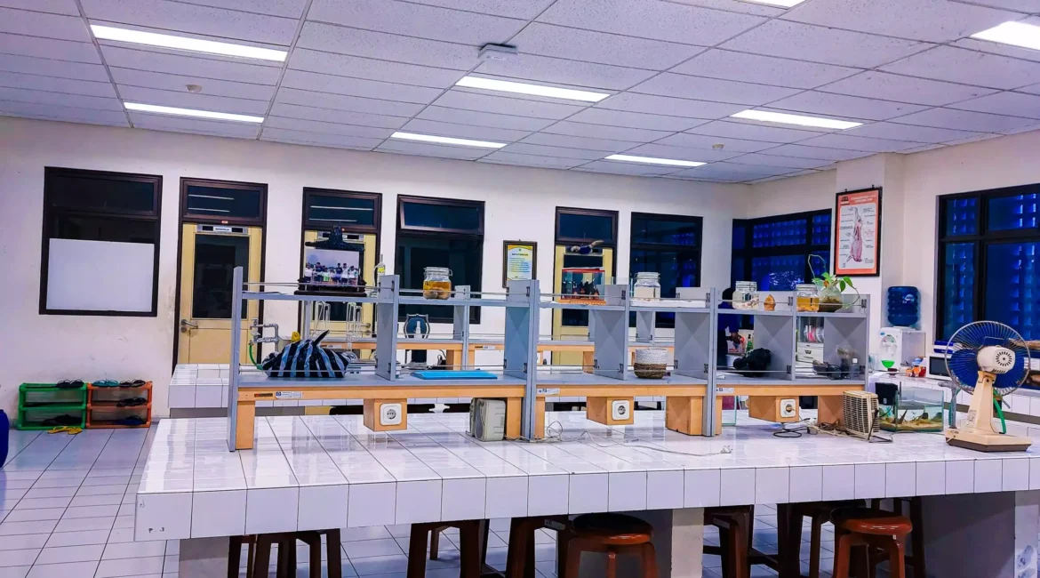 lab