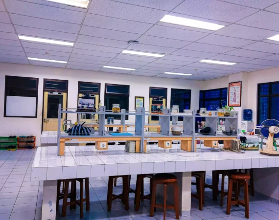 lab
